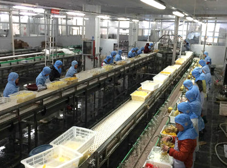  食（shí）品加工（gōng）廢氣處理